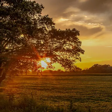 Permaculture (PDC) & Regenerative Living