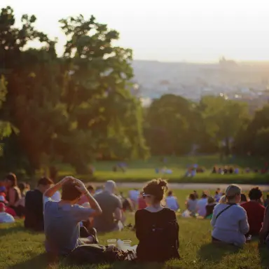 Community Wellness Socials